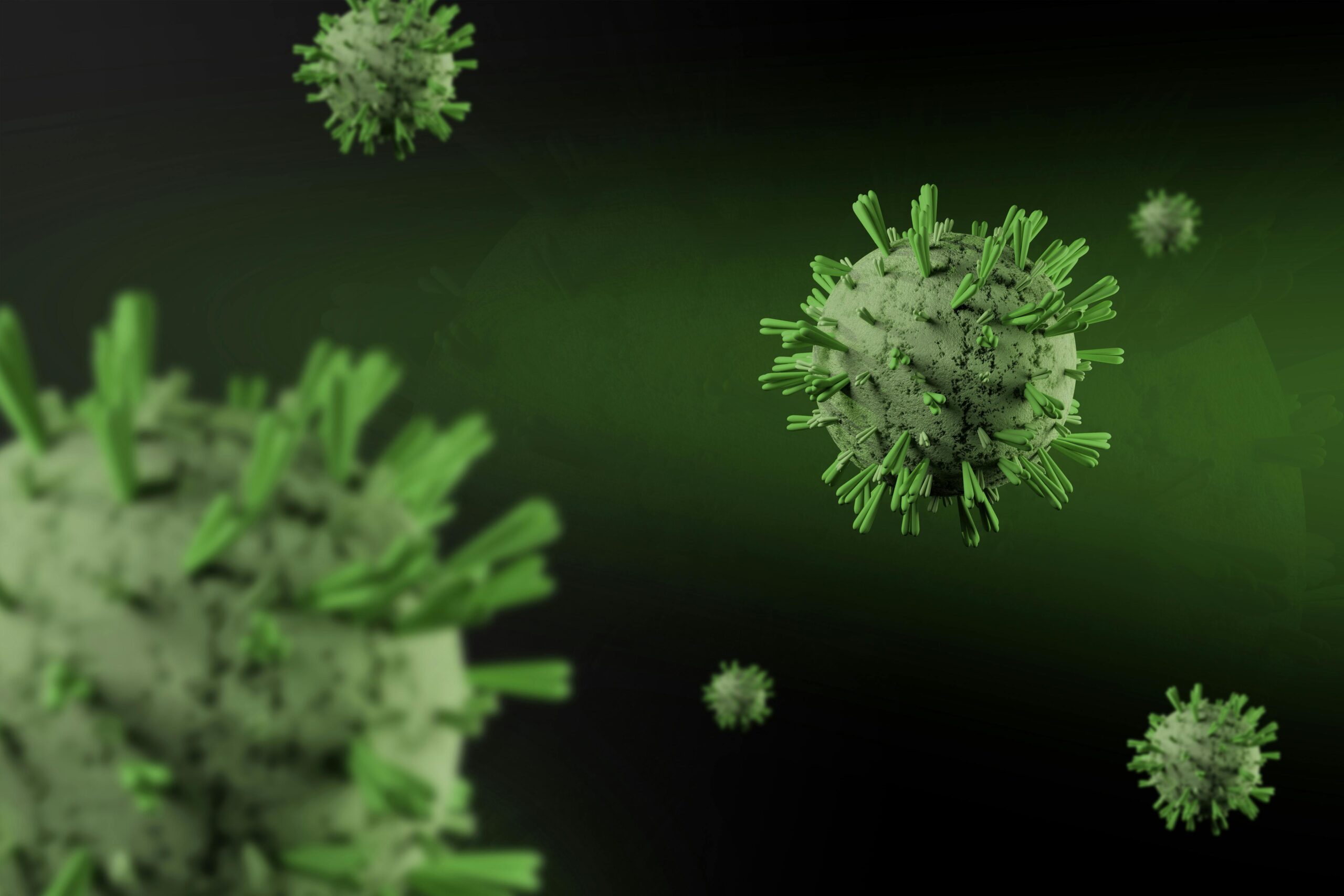 What Is Hantavirus