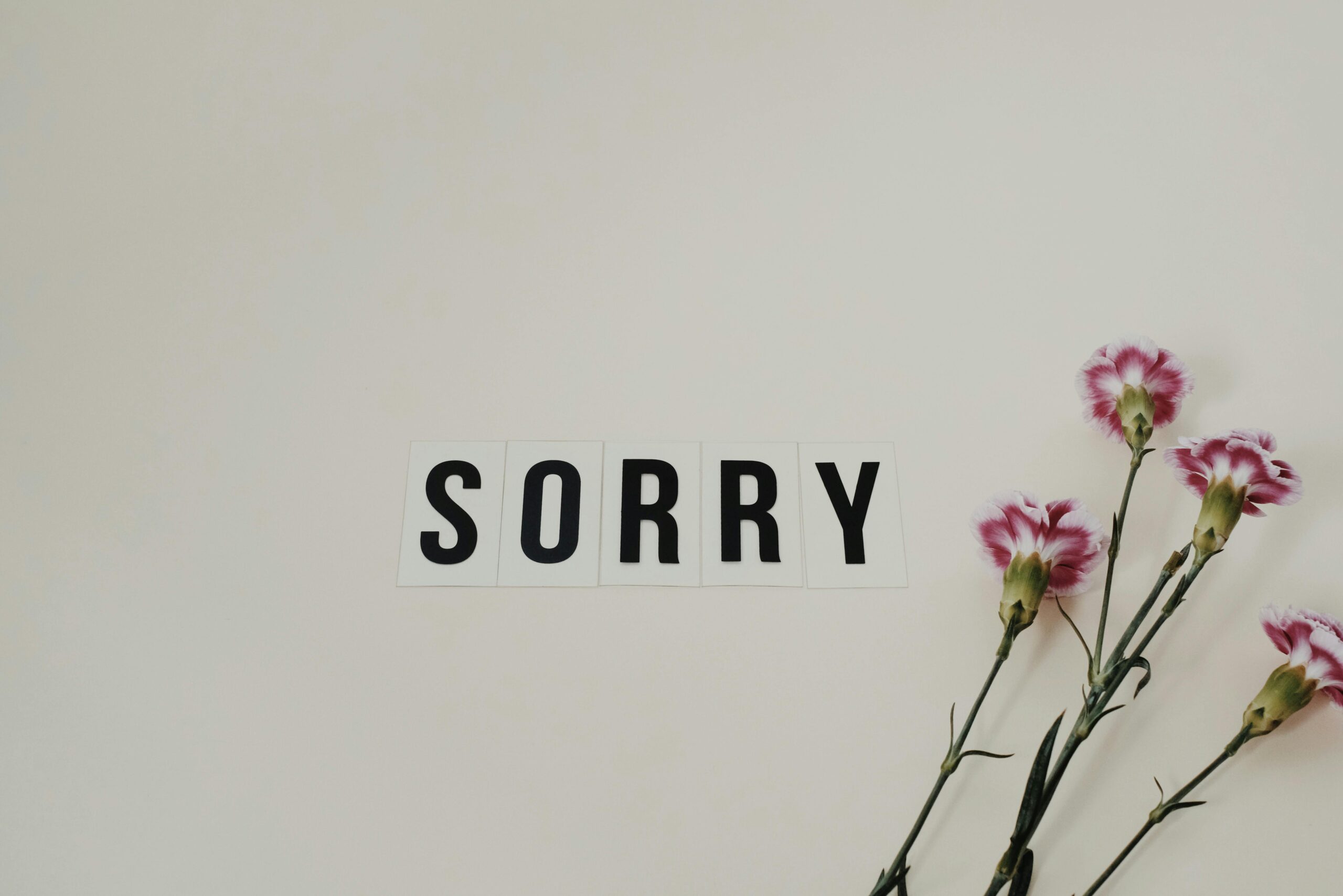 Sorry 100 Times Copy and Paste